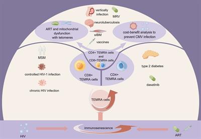 The role of TEMRA cell-mediated immune senescence in the development and treatment of HIV disease